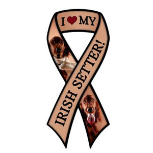 I Love My Irish Setter - Ribbon Magnet