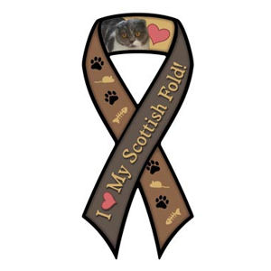 I Love My Scottish Fold Cat - Ribbon Magnet