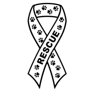Rescue - Ribbon Magnet