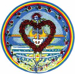 Skulls Rainbow Skeleton - Vinyl Sticker