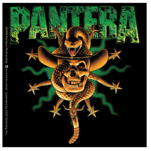 Pantera Snake In Skull - Vinyl Sticker