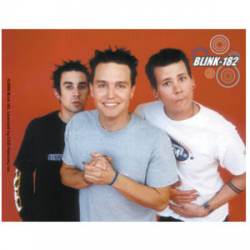 Blink 182 Photo - Vinyl Sticker