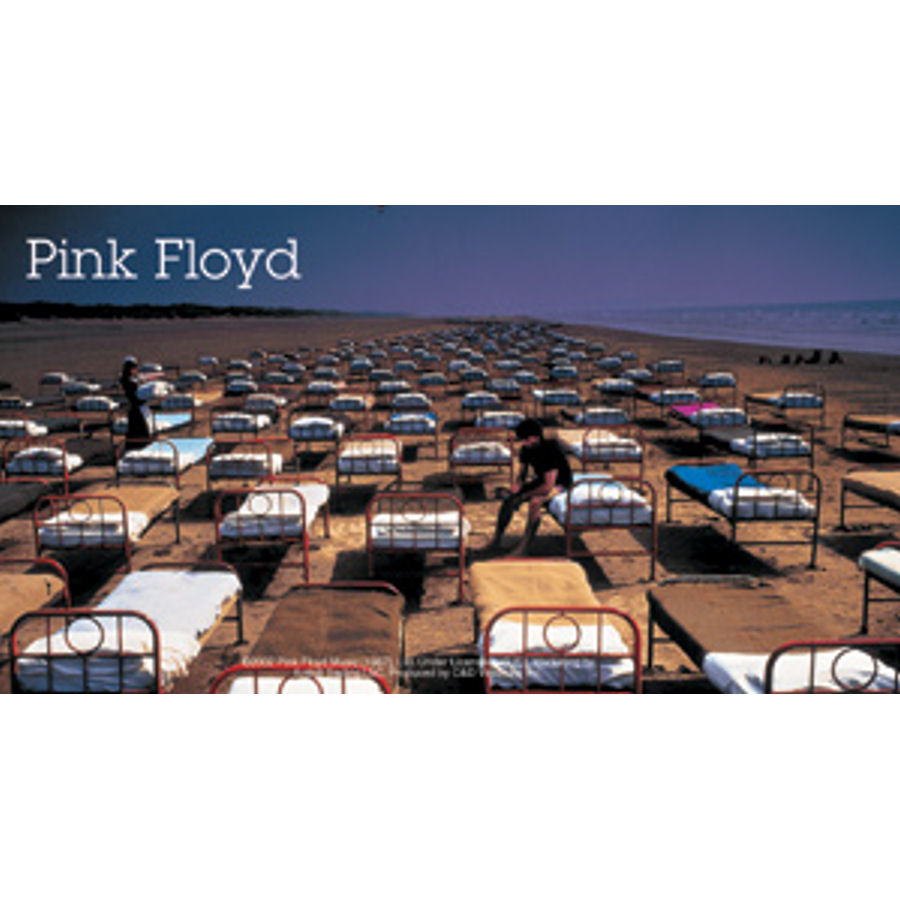 Pink Floyd Beds Vinyl Sticker at Sticker Shoppe