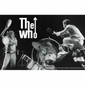 The Who Live Performance - Vinyl Sticker