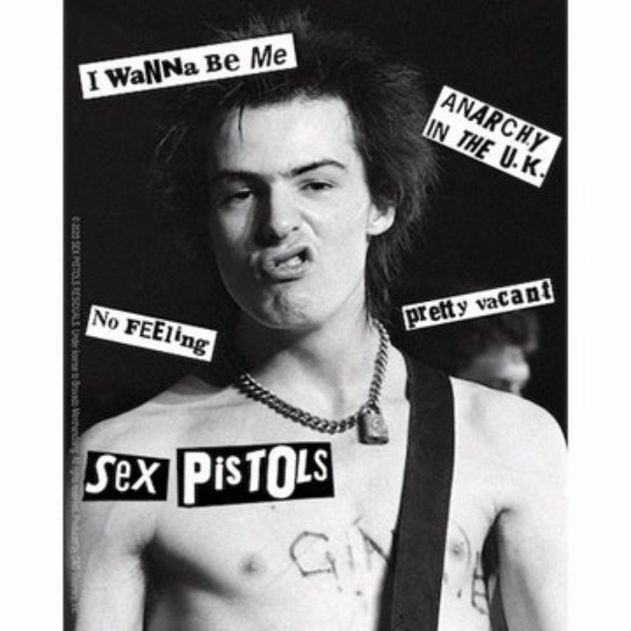 Sex Pistols Sid Vicious Vinyl Sticker At Sticker Shoppe 