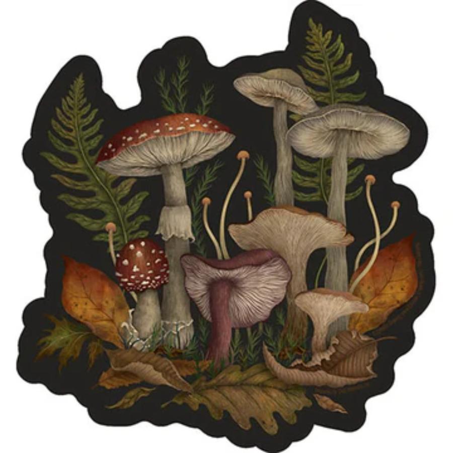 Episodic Drawing Autumn Mushrooms - Vinyl Sticker