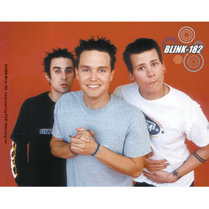 Blink 182 Photo - Sticker