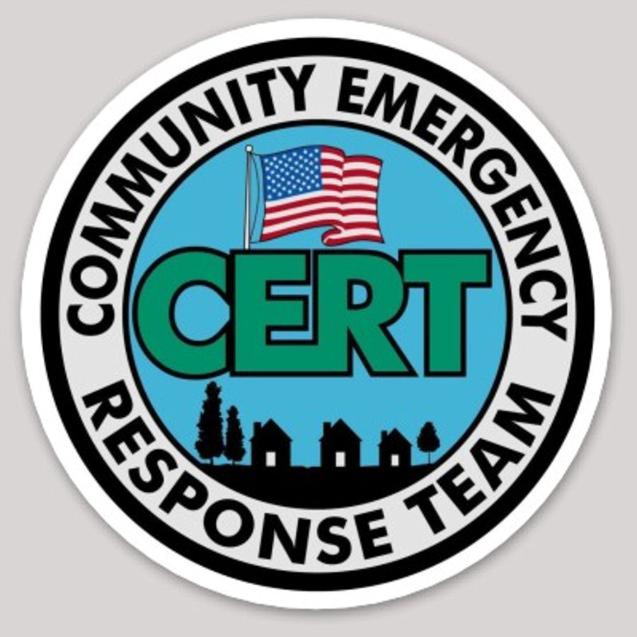 Community Emergency Response Team Circle Logo Vinyl Sticker at