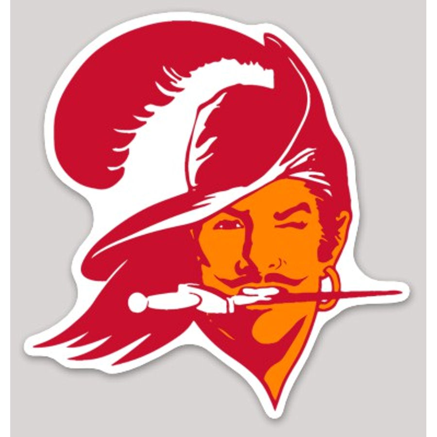 Tampa Bay Buccaneers 5x7 Multi Pack Decal Sheet - Foto 2