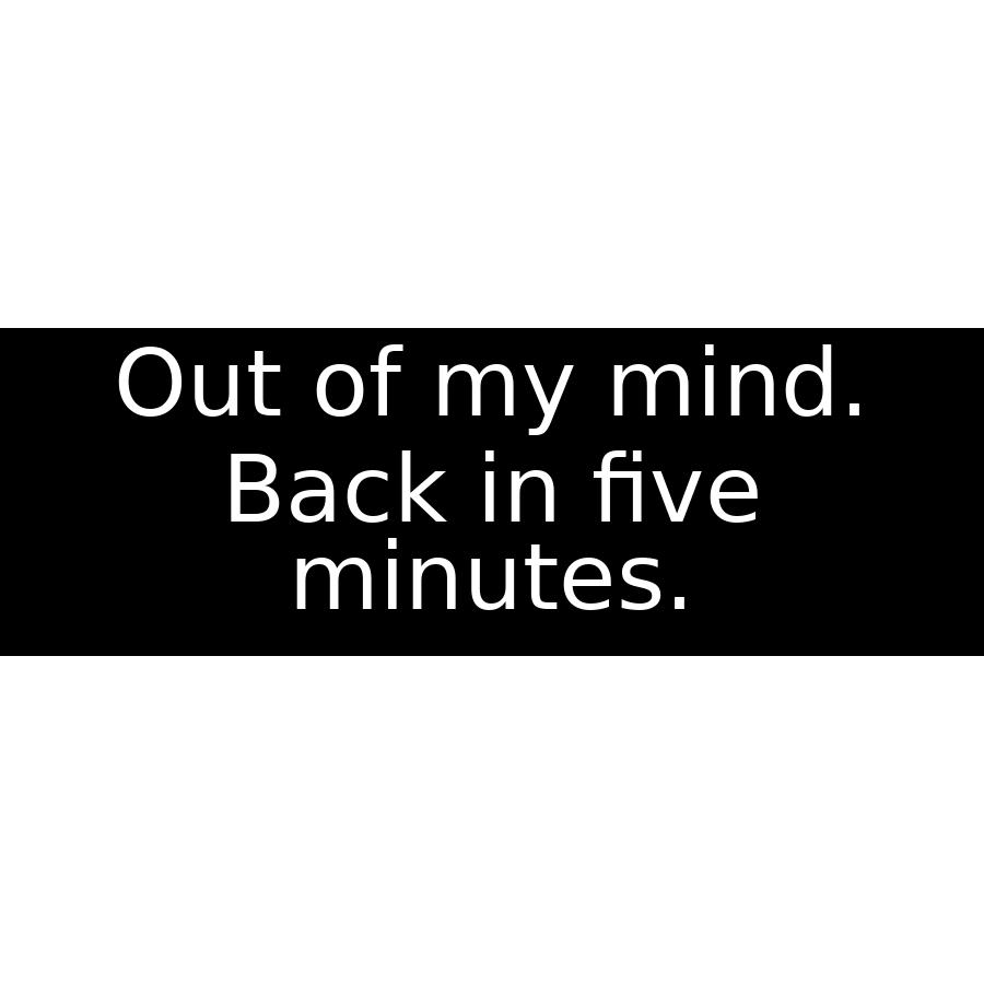 Out of my mind. Back in five minutes. - Bumper Sticker at Sticker Shoppe