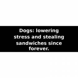 Dogs: lowering stress and stealing sandwiches since forever. - Bumper Sticker