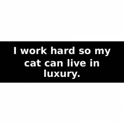 I work hard so my cat can live in luxury. - Bumper Sticker