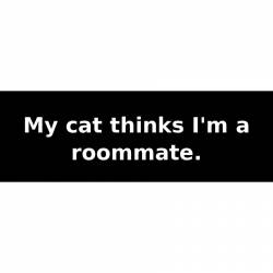 My cat thinks I'm a roommate. - Bumper Sticker