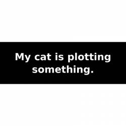 My cat is plotting something. - Bumper Sticker