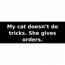 My cat doesn’t do tricks. She gives orders. - Bumper Sticker