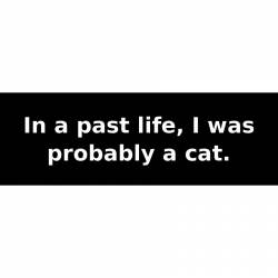 In a past life, I was probably a cat. - Bumper Sticker