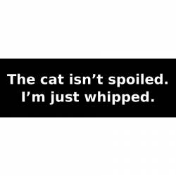 The cat isn’t spoiled. I’m just whipped. - Bumper Sticker