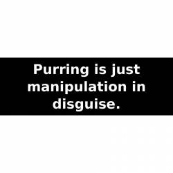 Purring is just manipulation in disguise. - Bumper Sticker