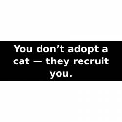 You don’t adopt a cat — they recruit you. - Bumper Sticker