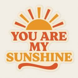 You Are My Sunshine - Vinyl Sticker