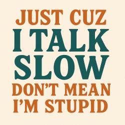 Just Cuz I Talk Slow Don't Mean I'm Stupid - Vinyl Sticker