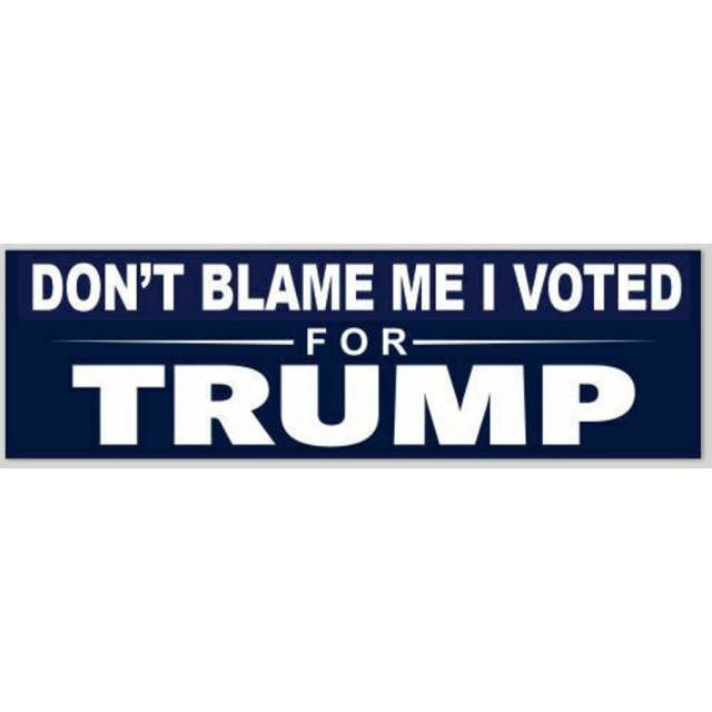 10 PACK Don't Blame Me I voted for Trump Sticker 5" x 3 " Decal MAGA 