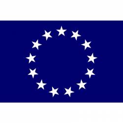 Flag of a Foreign Service Officer - Vinyl Sticker