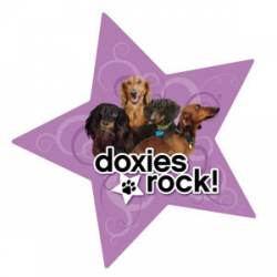 Doxies Rock - Star Magnet