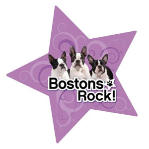 Bostons Rock - Star Magnet