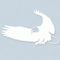 Eagle - Rub On Sticker