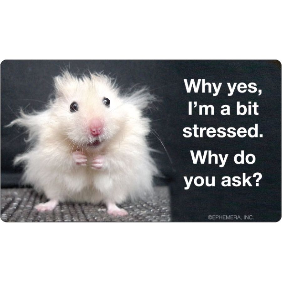 Why yes i m a bit stressed why do you ask vinyl sticker at sticker