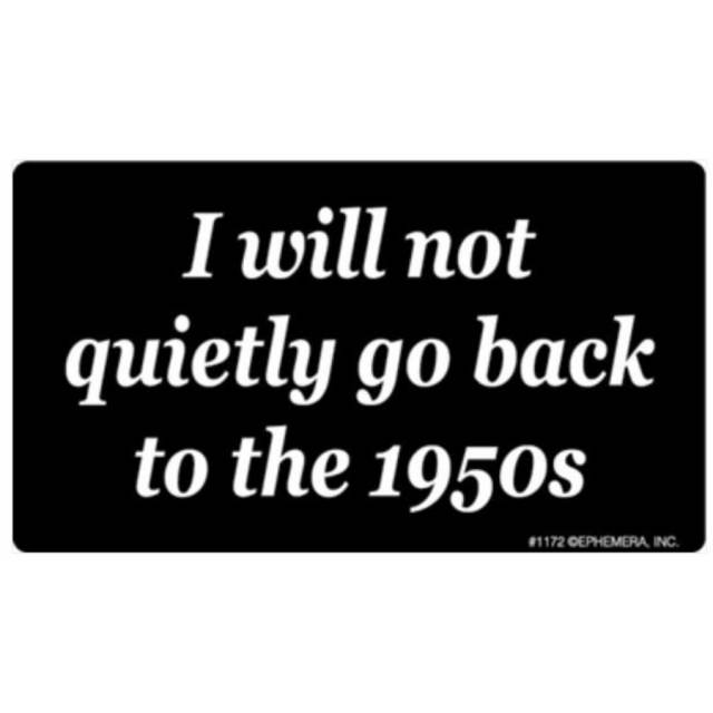 I Will Not Quietly Go Back To The 1950's - Vinyl Sticker