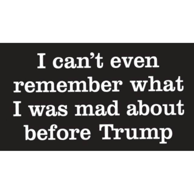 Can't Even Remember What I Was Mad About Before Trump - Vinyl Sticker