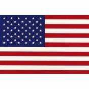 American Flag - Sticker