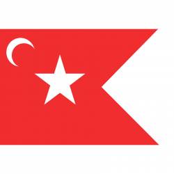 South Carolina Succession Flag - Sticker