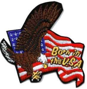 Born in the USA - Embroidered Iron On Patch at Sticker Shoppe