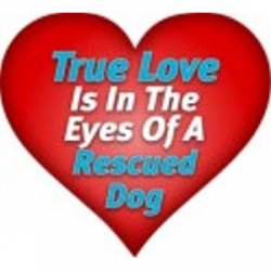 True Love Is In The Eyes Of A Rescued Dog - Heart Magnet